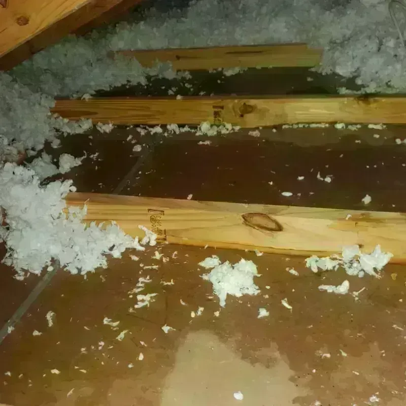 Attic Water Damage in Dakota, WI