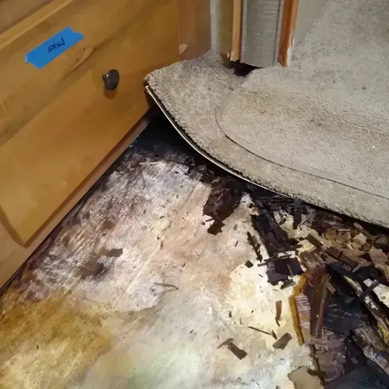 Wood Floor Water Damage in Dakota, WI